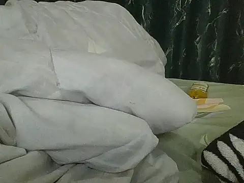 vanillapieh webcam