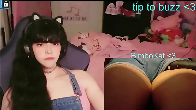 BimboCat webcam