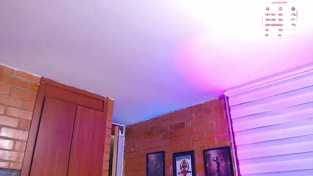 Salome-sw webcam