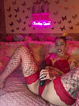 CHACHOULAND webcam