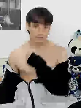 Martinsibiris webcam