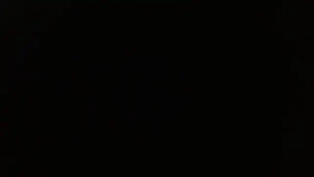 Pandora_9666 webcam