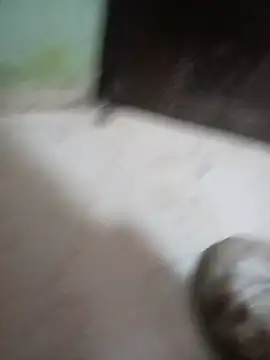 playboy_rajat (M young) - Cum discharge