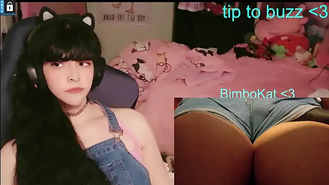 BimboCat webcam