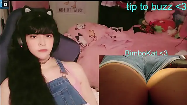 BimboCat