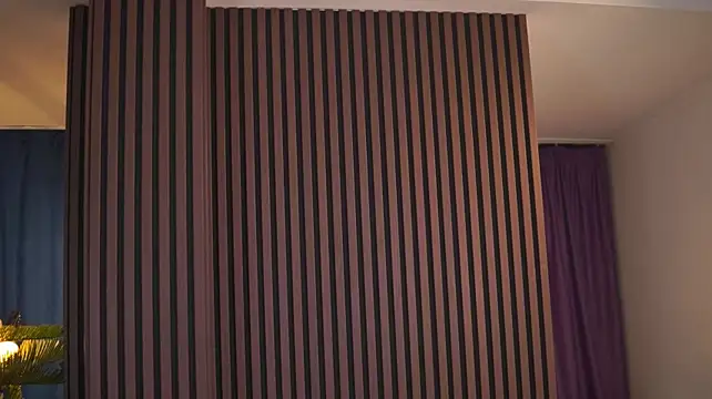 AdaSoll webcam