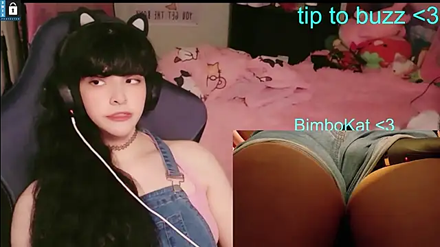 BimboCat webcam