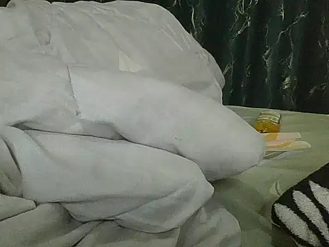vanillapieh webcam