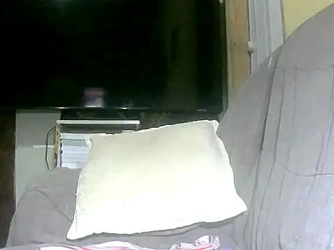 daneht webcam