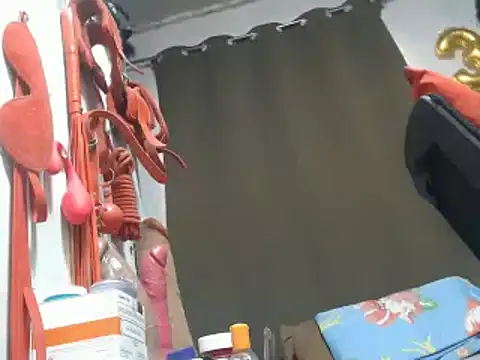 30cmMONSTERCOCKnBIGLOAD webcam