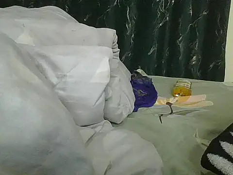 vanillapieh webcam