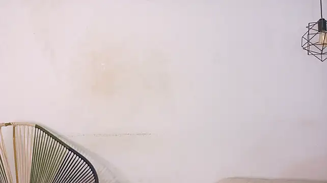 july_luna webcam