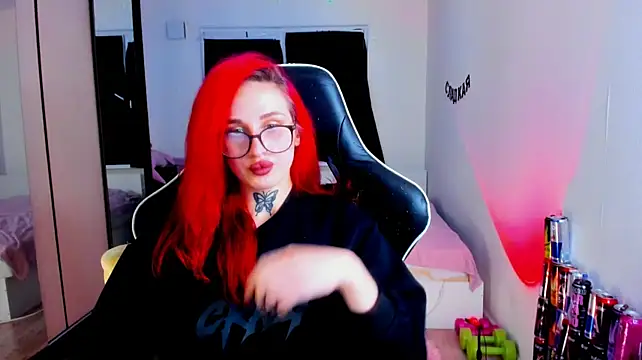 your_tora webcam