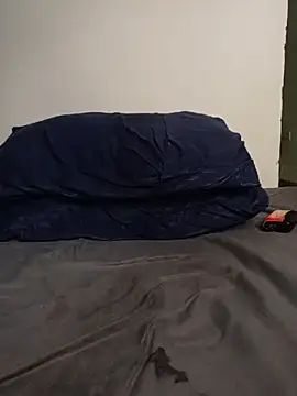 barbaratwerk webcam