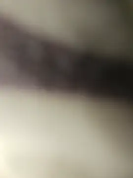 SonicStrip11 webcam