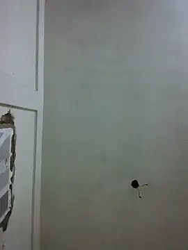 xandra252 webcam