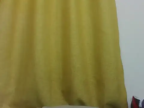 PrettyEve webcam