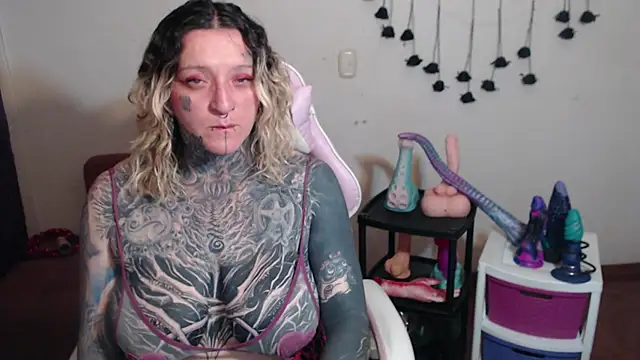 SLOPPYTITSS webcam