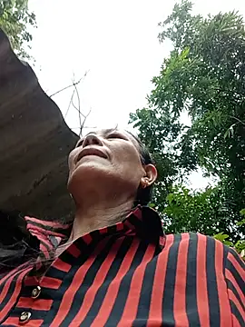toyo_668 webcam