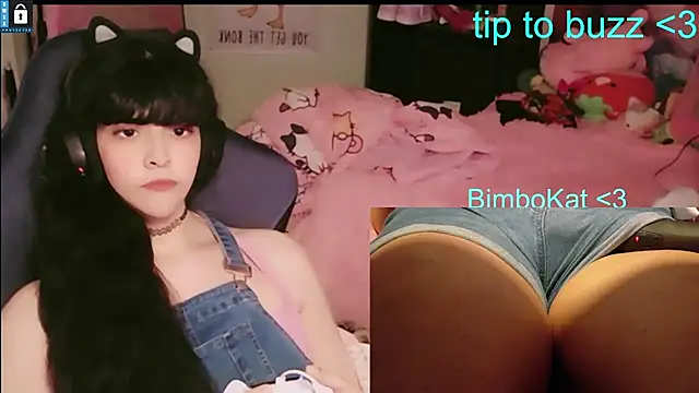 BimboCat