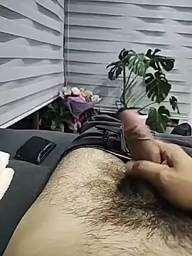nikito33 live cam on StripChat