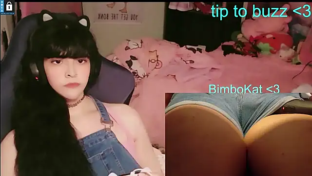 BimboCat webcam