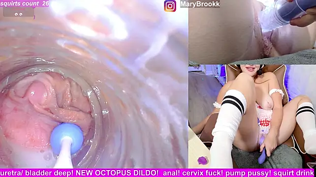 MaryBrook1 live cam