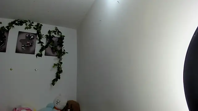 Eli_dl webcam