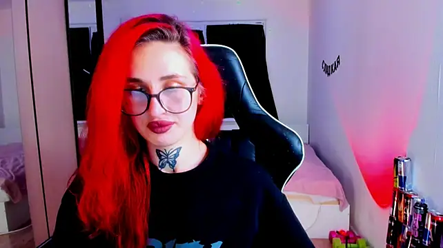 your_tora webcam