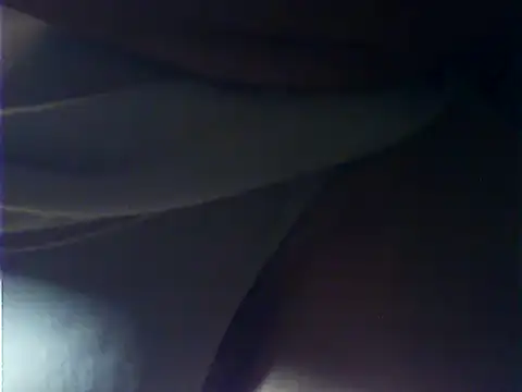 VeneRed webcam