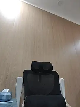 Fanritar webcam