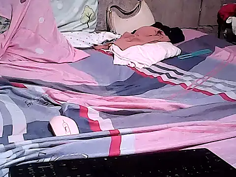 Zenithlive webcam