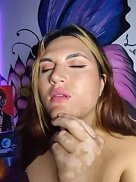 Renartt webcam