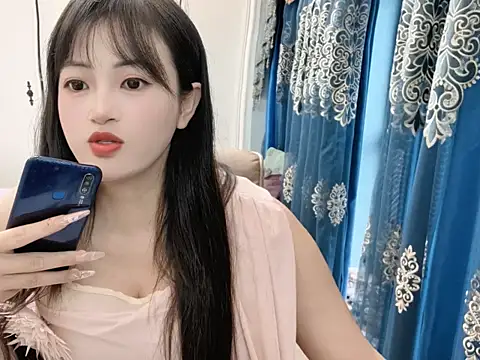 sjsibi webcam