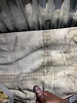 spermrainer