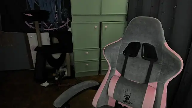 t0riayun0 webcam