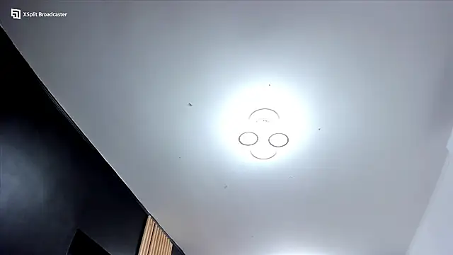 fireflowers_ webcam