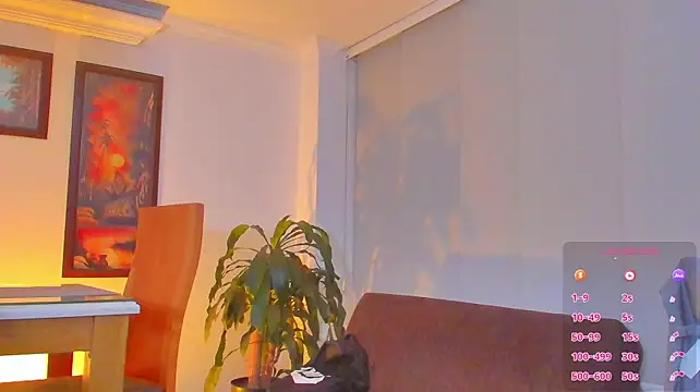 RJBarto webcam