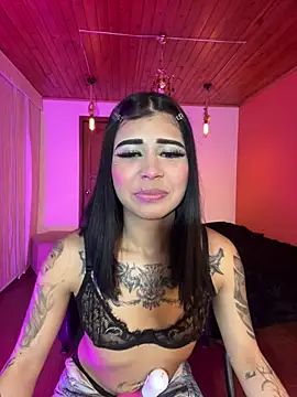 -Brittanny webcam