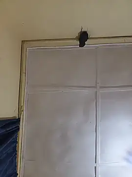 Osimbos