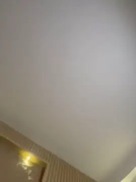 selenne_schmitt webcam