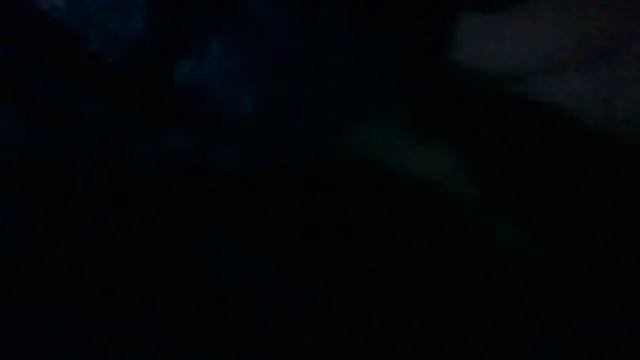 NuttyProfesir webcam