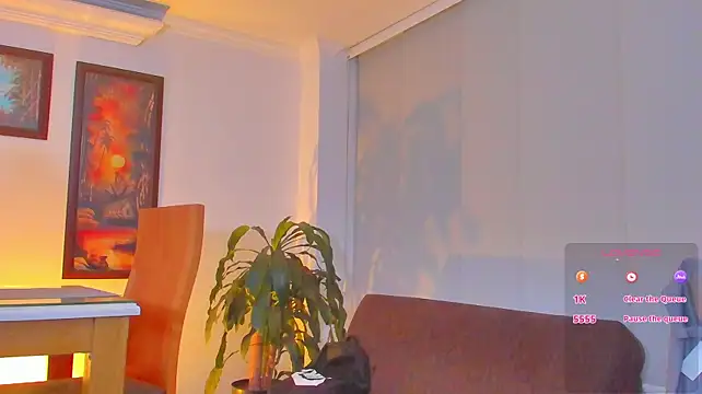 RJBarto webcam