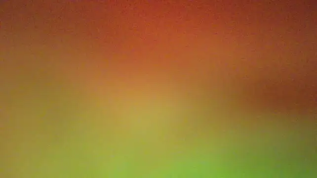 christopher_robin4 webcam