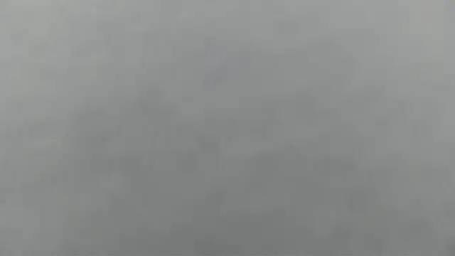 Monia9530 webcam
