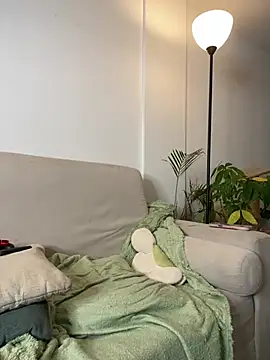 6nalanie webcam