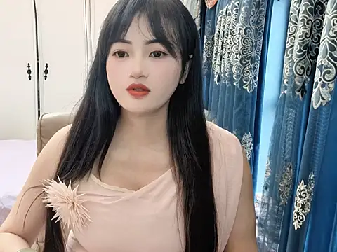 sjsibi webcam
