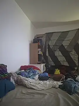 Sabycastle webcam