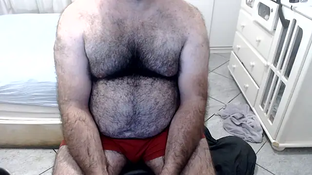 MysterBearMG webcam
