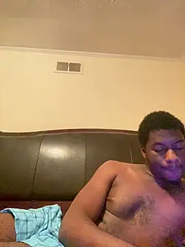 ThickDic28 webcam